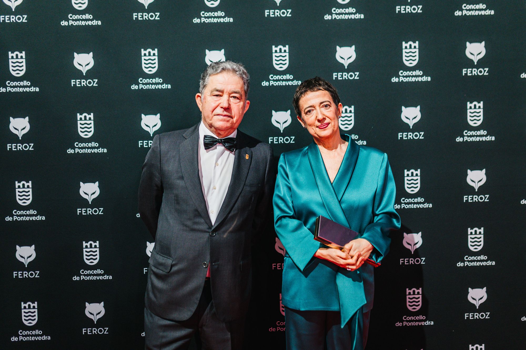 Alfombra vermella da Gala dos Premios Feroz