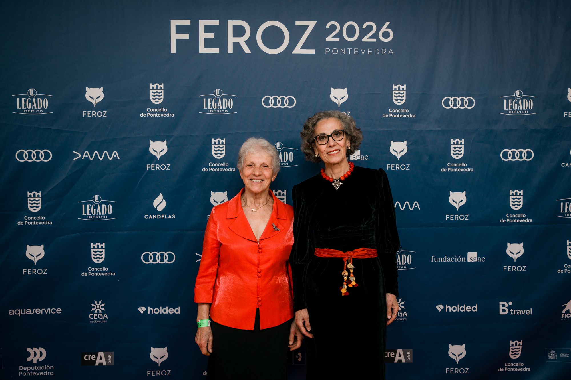 Alfombra vermella da Gala dos Premios Feroz