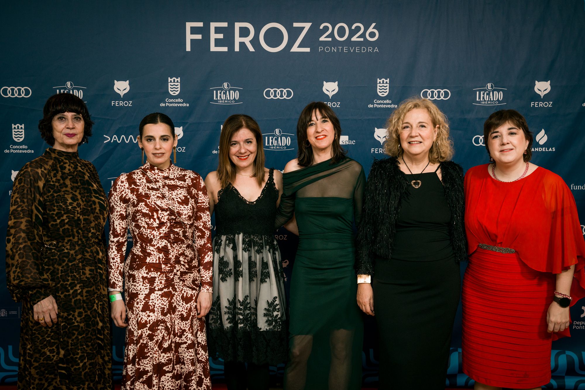 Alfombra vermella da Gala dos Premios Feroz
