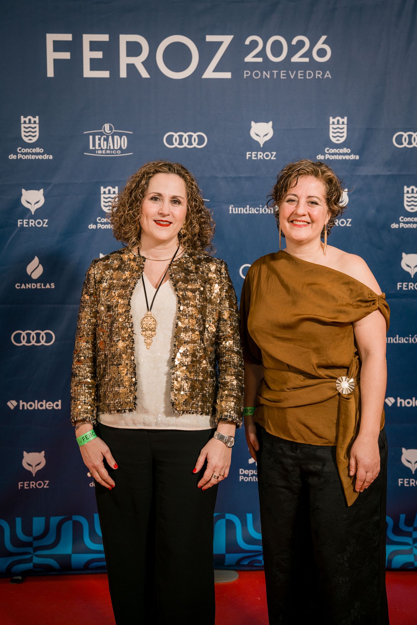 Alfombra vermella da Gala dos Premios Feroz