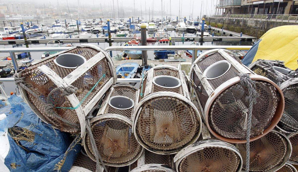 Aparellos de pesca. Nasas para o polbo