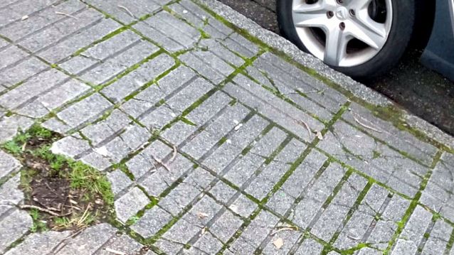 Estado dun tramo da beirarrúa de acceso ao campus Estado dun tramo da beirarrúa de acceso ao campus