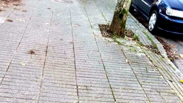 Beirarrúa na Xunqueira Beirarrúa na Xunqueira