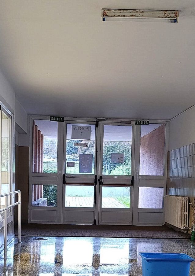 Pingueiras no CEIP A Xunqueira I