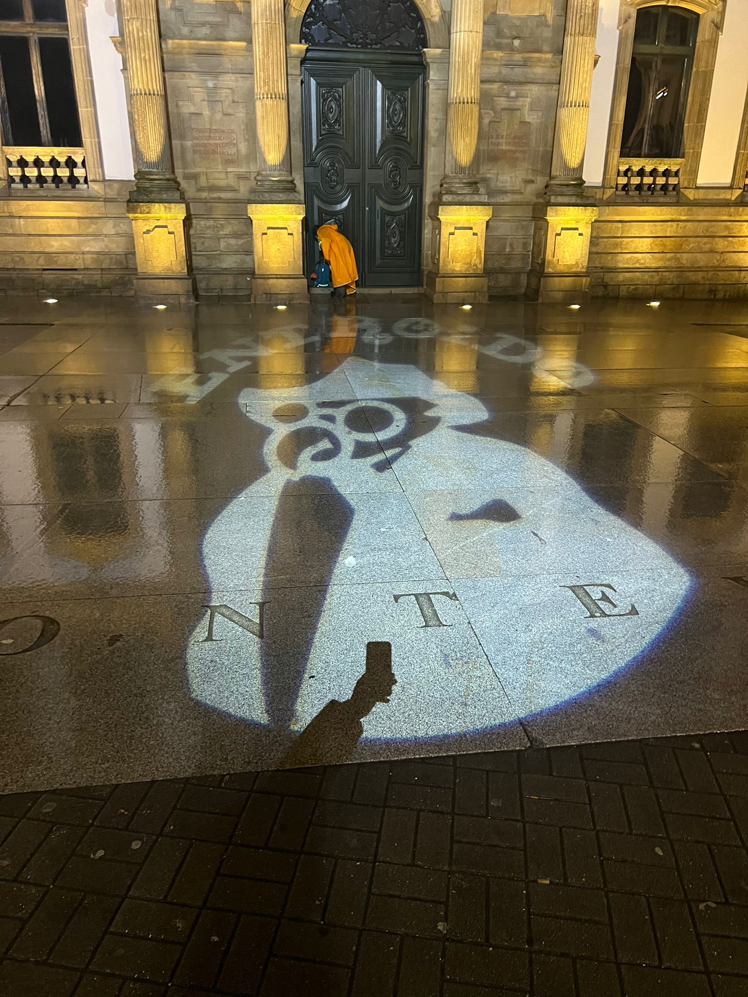 Proyección del loro Ravachol