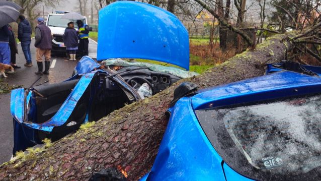 Caida de un árbol sobre un coche conducido por una joven Caida de un árbol sobre un coche conducido por una joven
