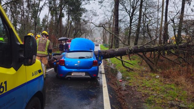 Caida de un árbol sobre un coche conducido por una joven Caida de un árbol sobre un coche conducido por una joven