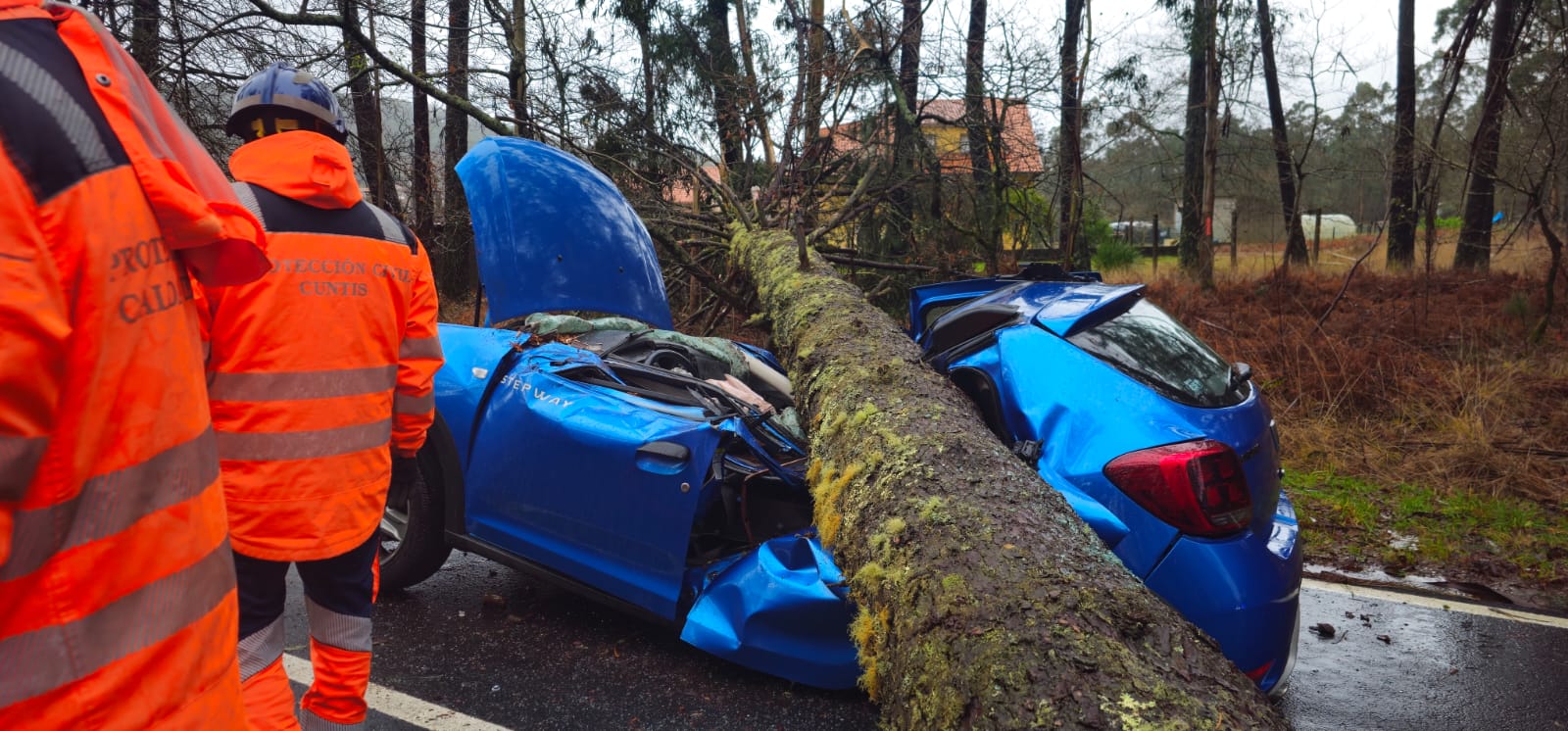 Caida de un árbol sobre un coche conducido por una joven