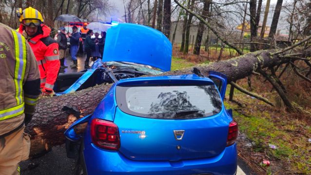 Caida de un árbol sobre un coche conducido por una joven Caida de un árbol sobre un coche conducido por una joven