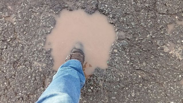 Fochanca que cobre un pé na N 640