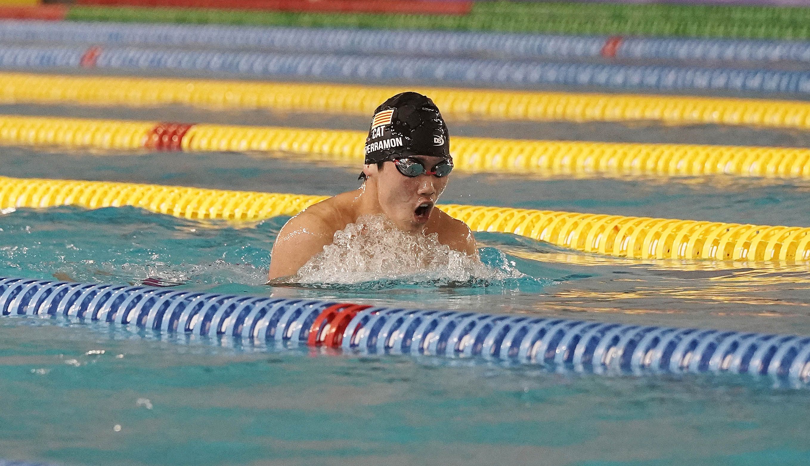 Campeonato de España de Selecciones Autonómicas de natación Campeonato de España de Selecciones Autonómicas de natación