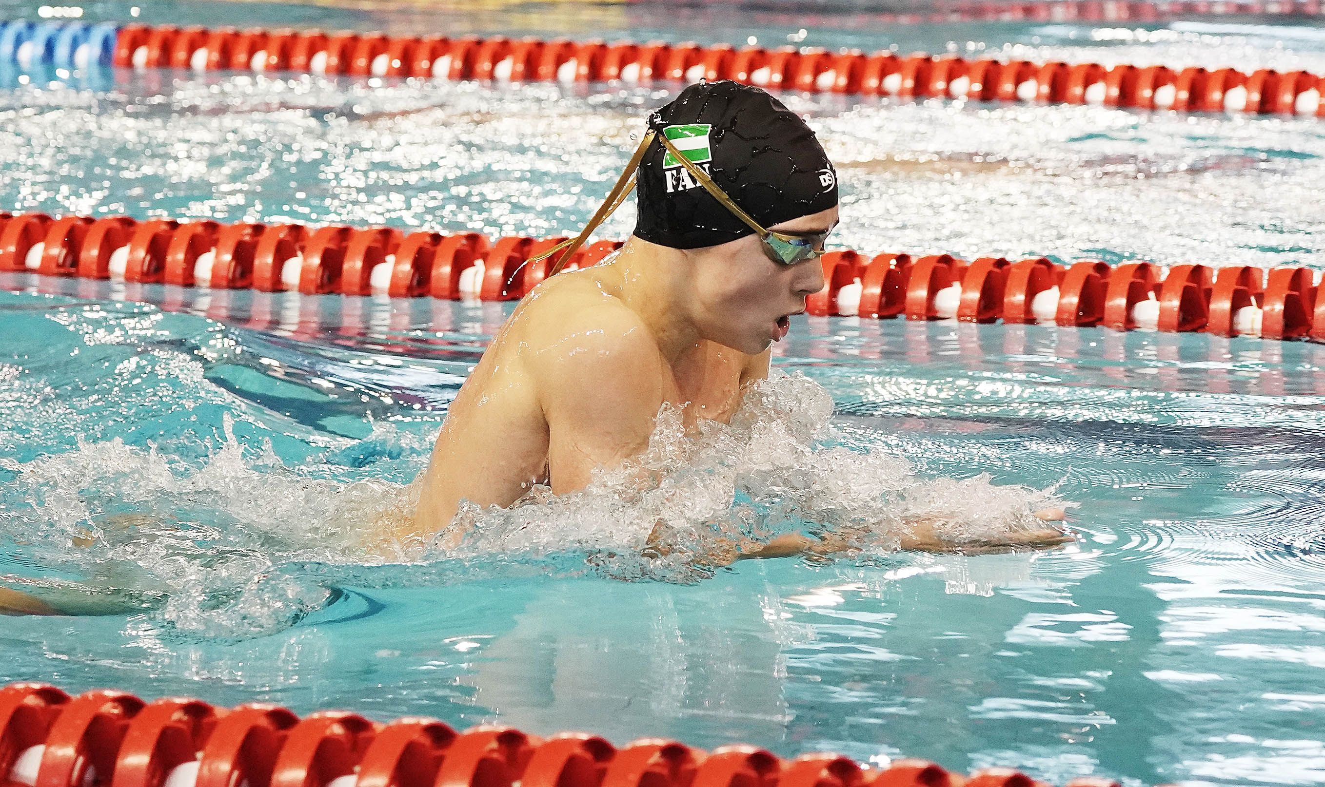 Campeonato de España de Selecciones Autonómicas de natación Campeonato de España de Selecciones Autonómicas de natación
