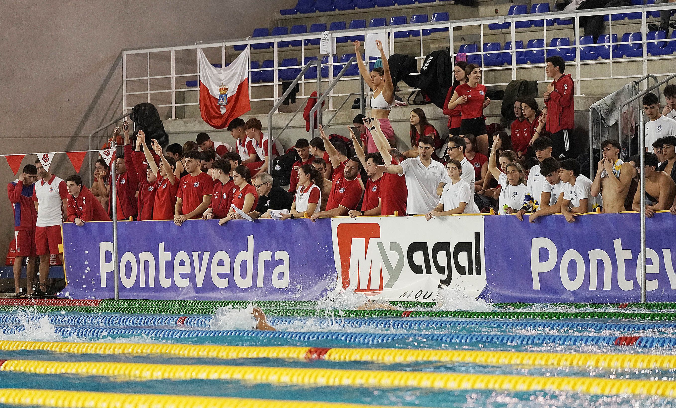 Campeonato de España de Selecciones Autonómicas de natación Campeonato de España de Selecciones Autonómicas de natación