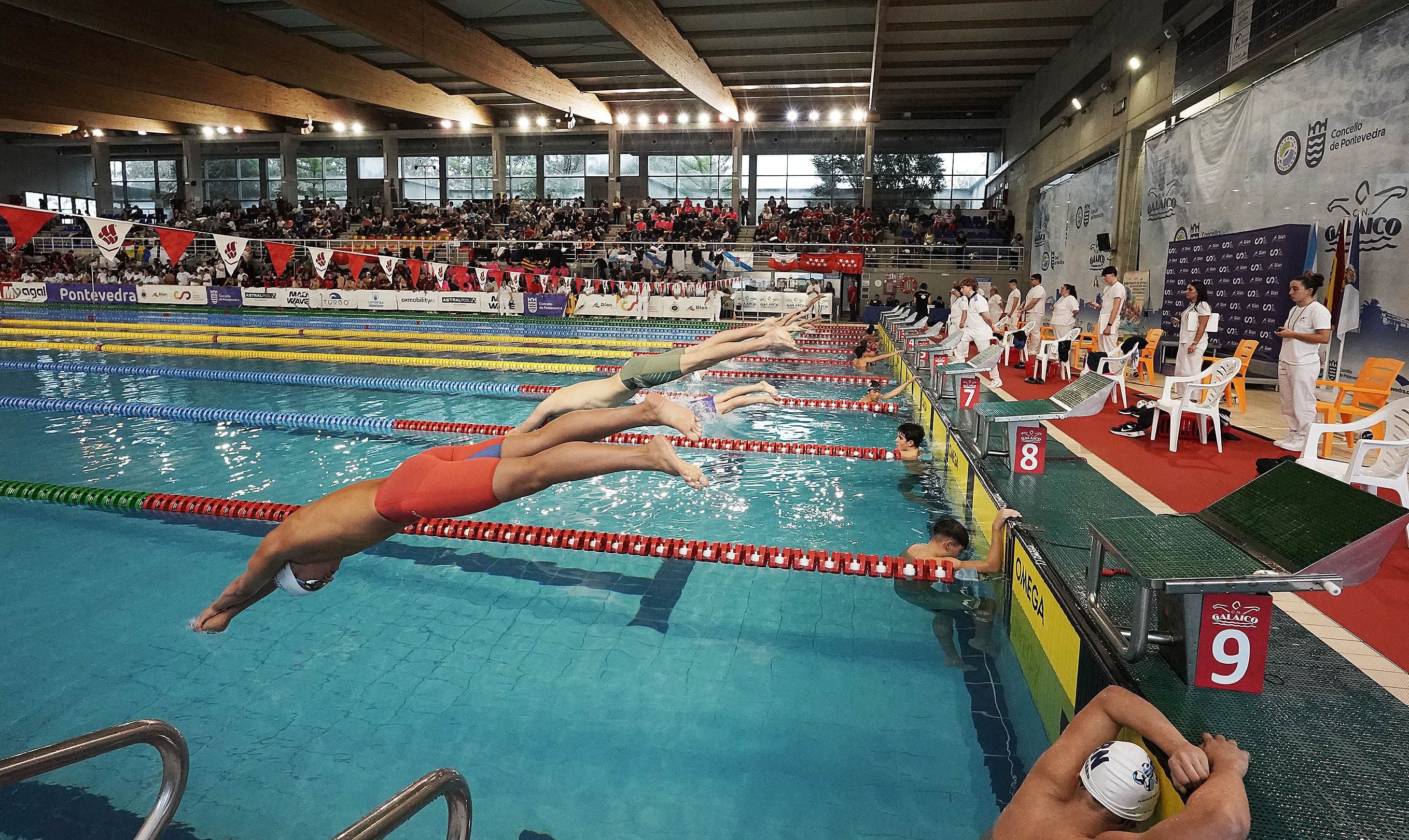 Campeonato de España de Selecciones Autonómicas de natación Campeonato de España de Selecciones Autonómicas de natación