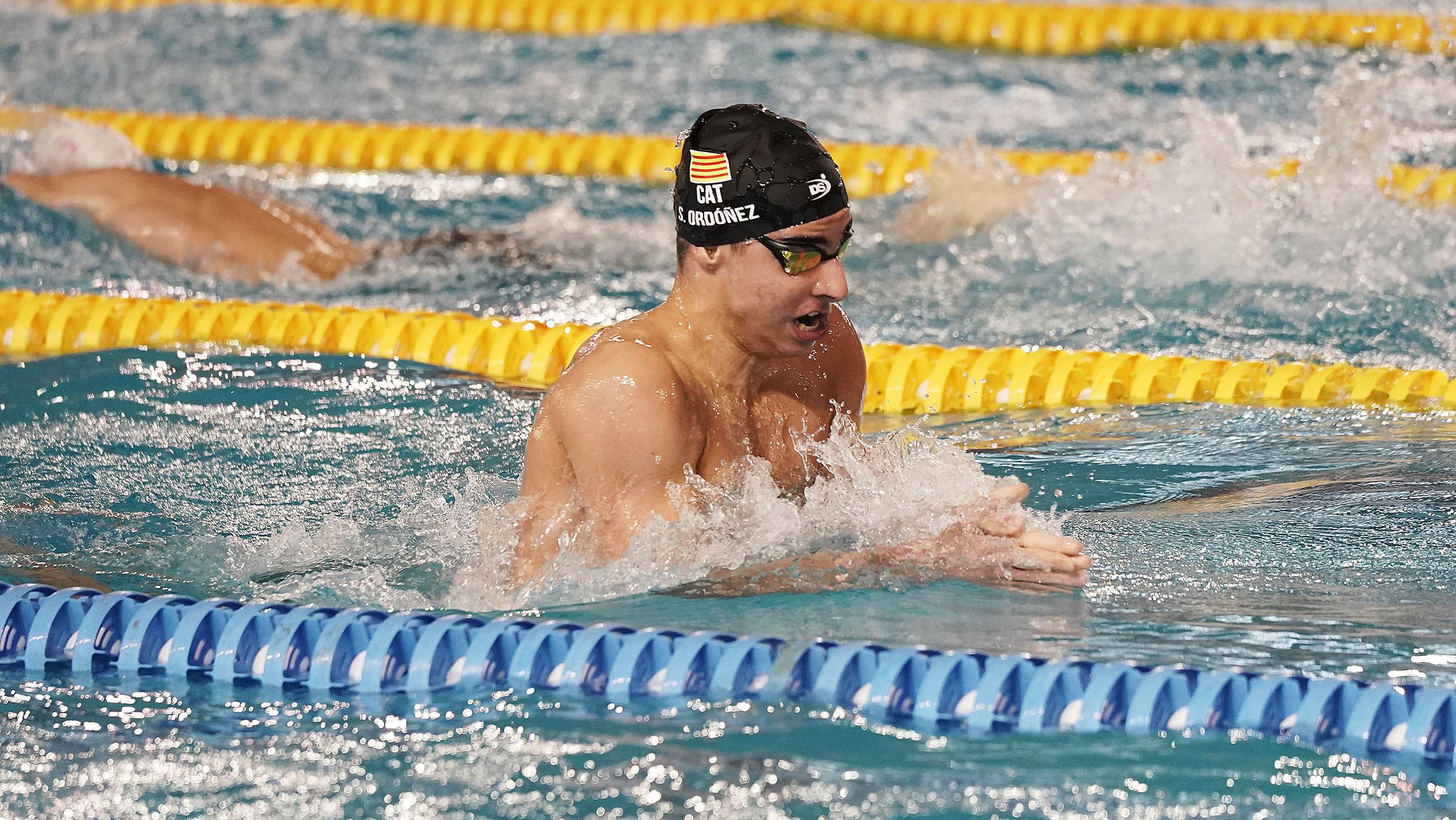 Campeonato de España de Selecciones Autonómicas de natación Campeonato de España de Selecciones Autonómicas de natación