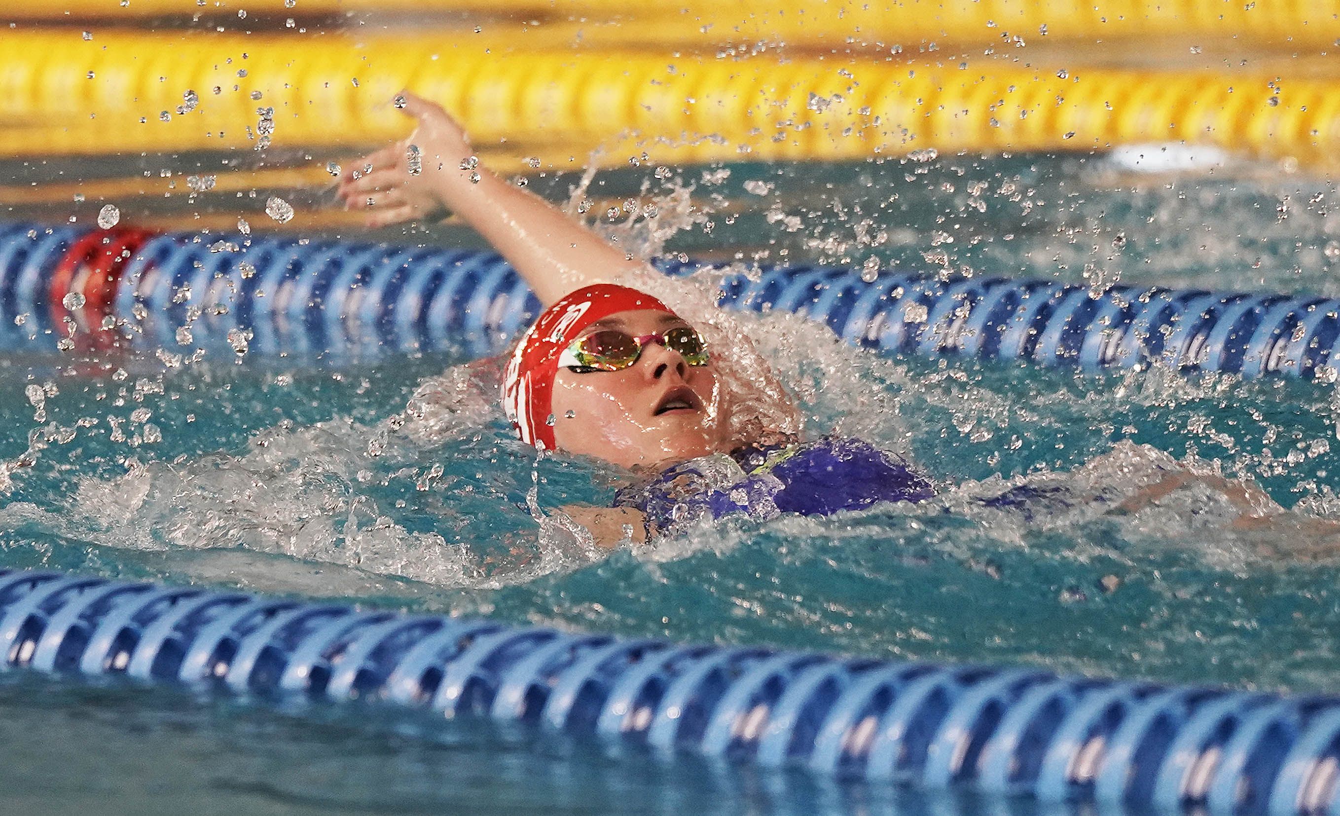 Campeonato de España de Selecciones Autonómicas de natación Campeonato de España de Selecciones Autonómicas de natación