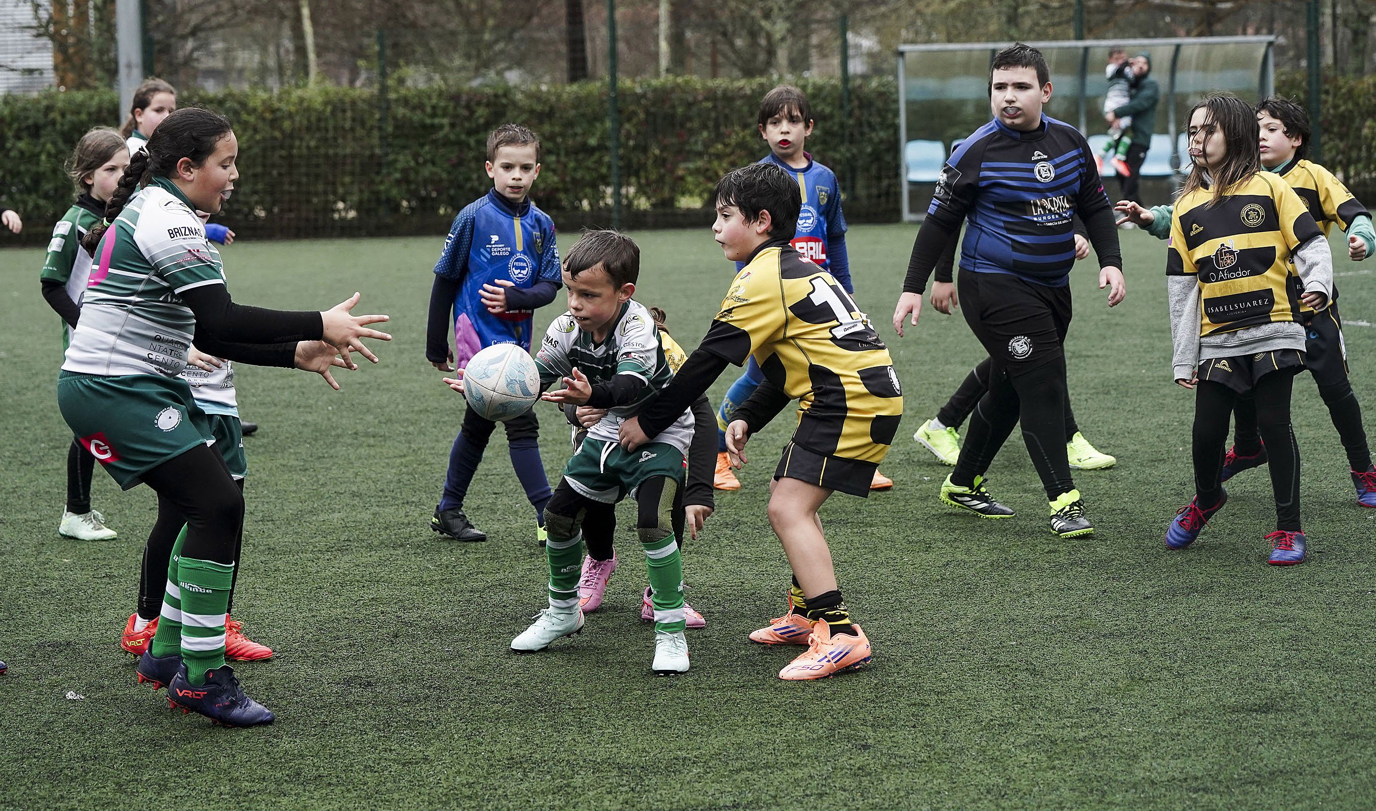 Concentración de Escuelas de Rugby de Galicia