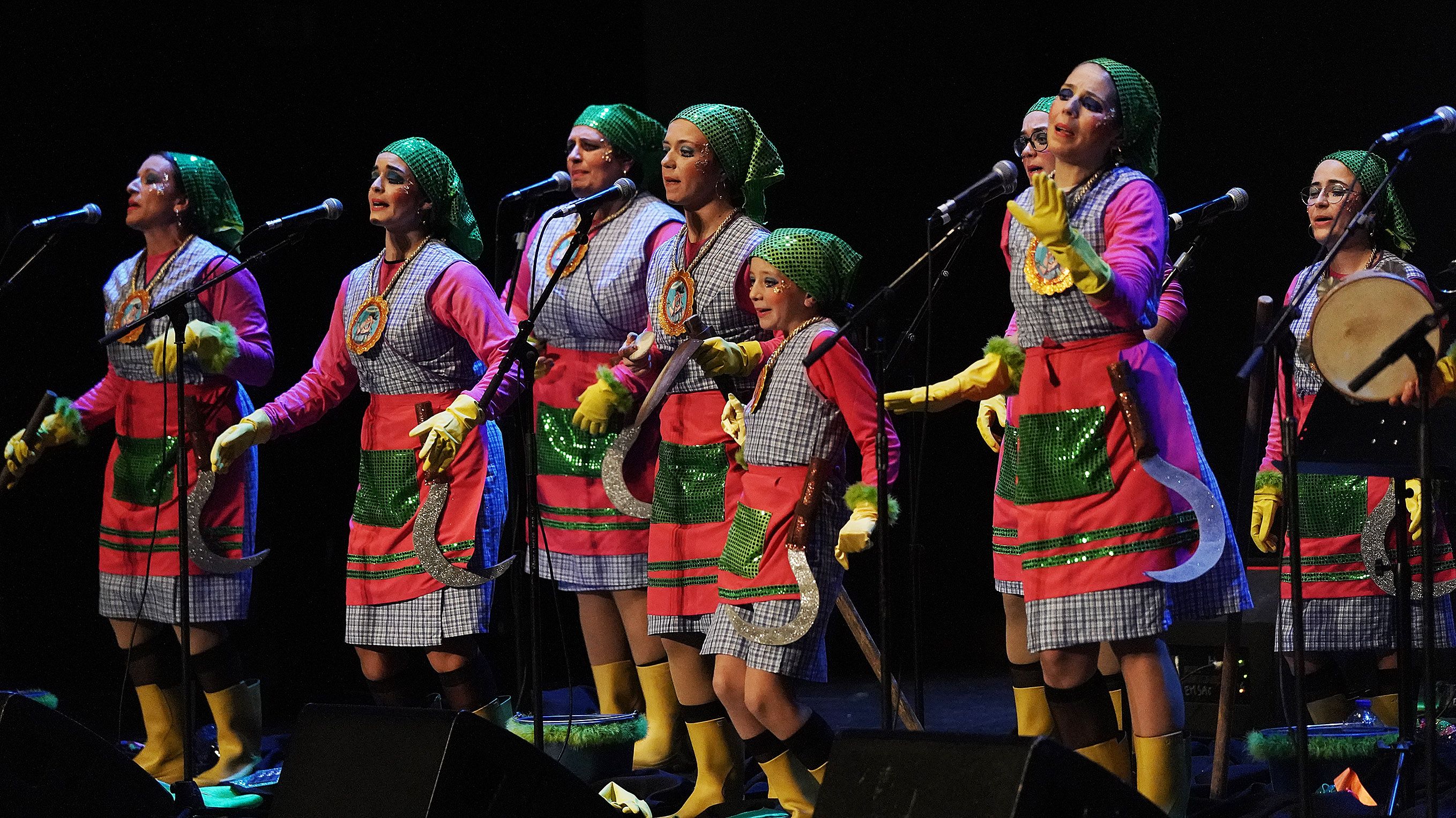 Primera semifinal del XXXIV Concurso de Murgas de Pontevedra