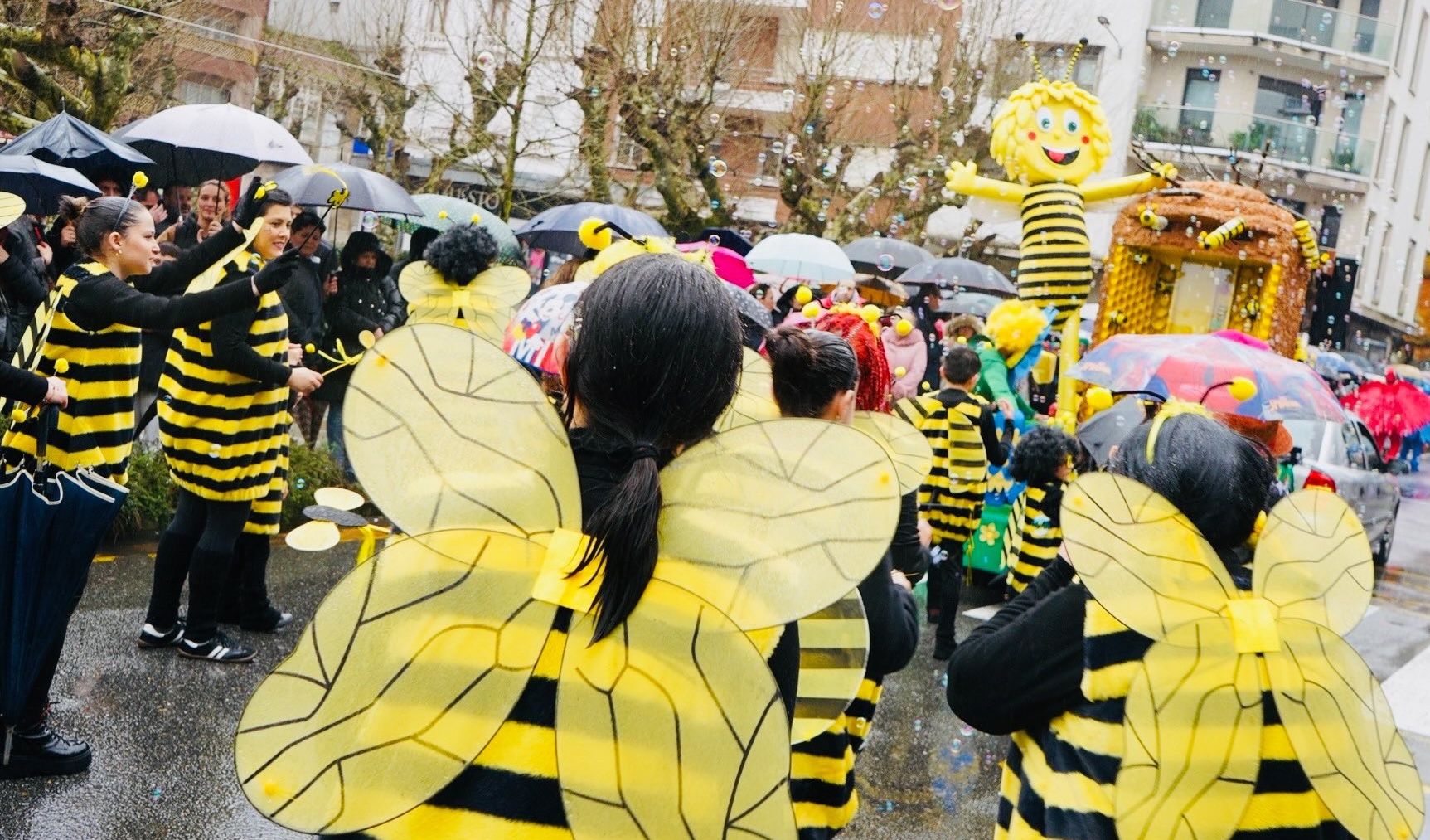 Desfile de Entroido 2026 en Vilagarcía