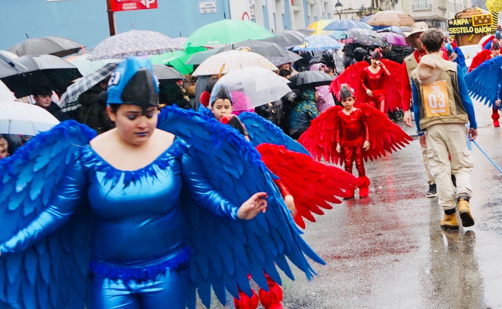 Desfile de Entroido 2026 en Vilagarcía