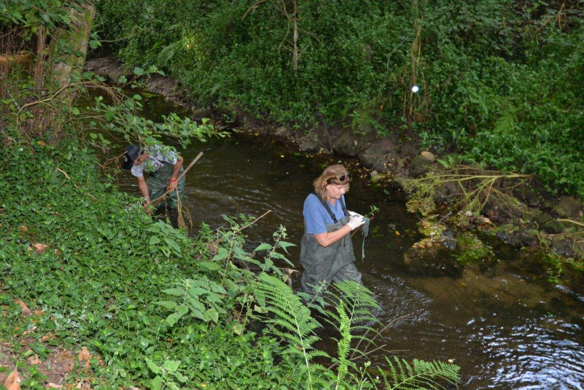 Limpeza voluntaria do río Gafos, a cargo de Vaipolorío