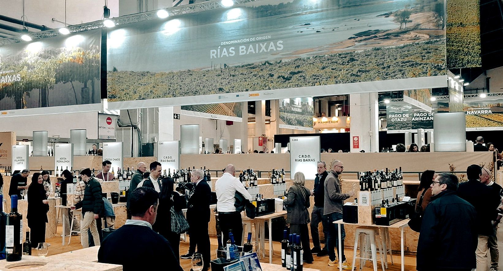 Vinos de la D.O. Rías Baixas