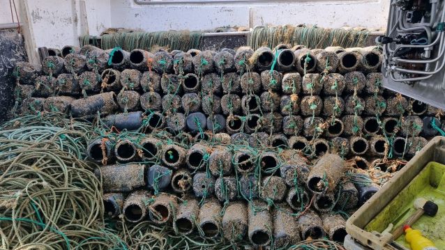 Cacharros confiscados por el servicio de Gardacostas