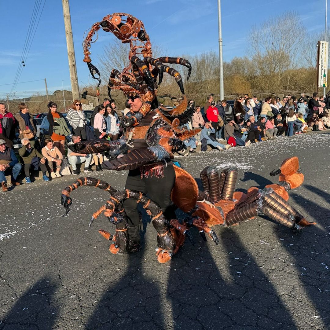 Desfile de Entroido en Portas 2026 (7)
