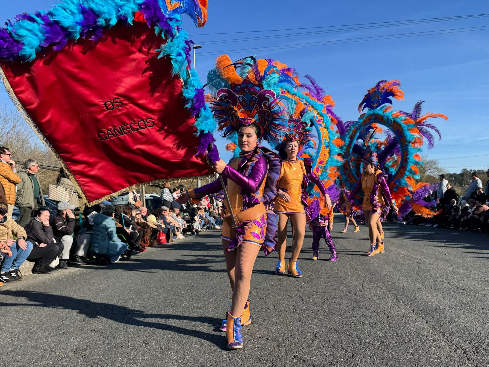 Desfile de Entroido en Portas 2026 (8)