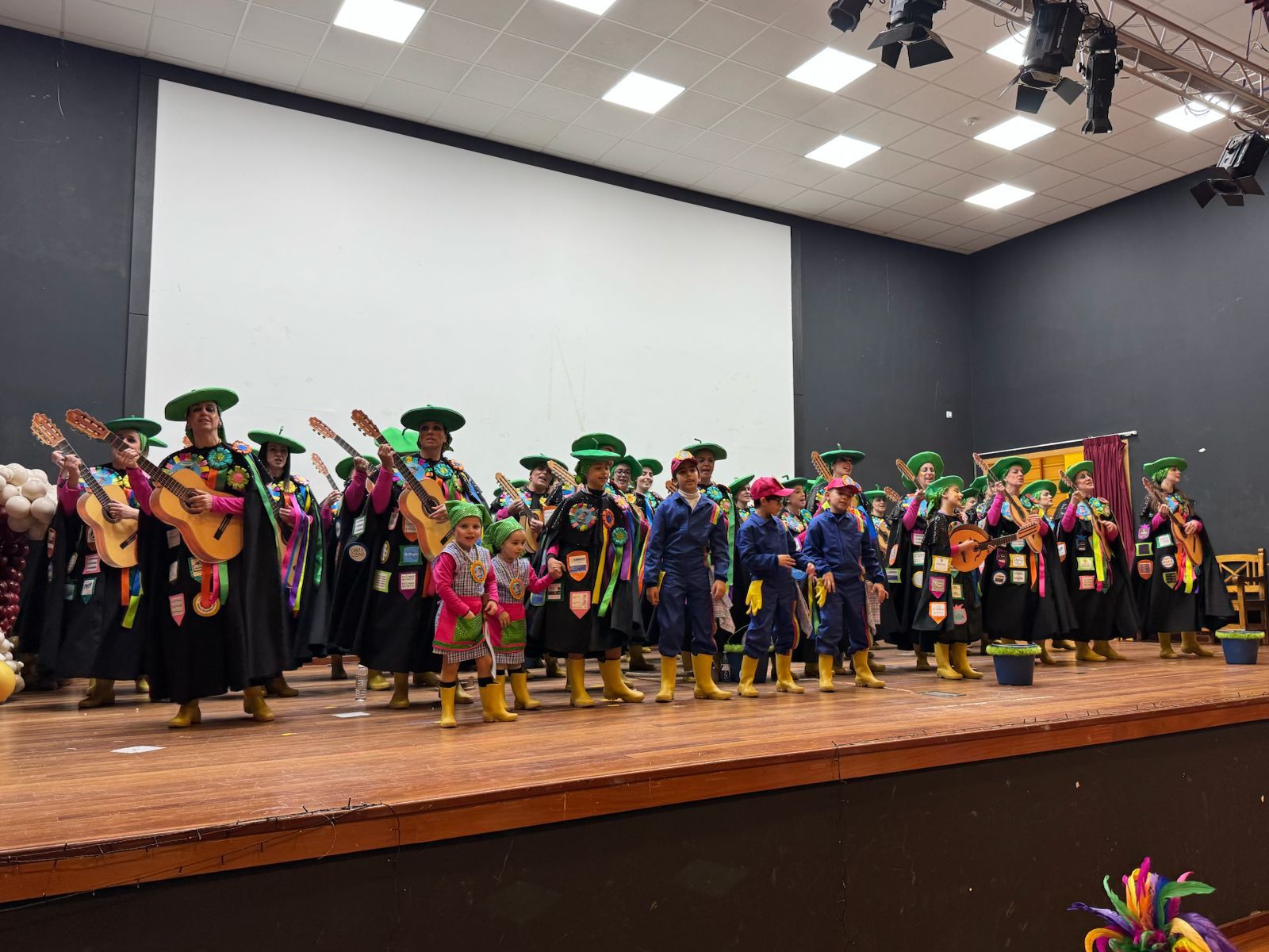 Desfile de Entroido en Portas 2026 (12)