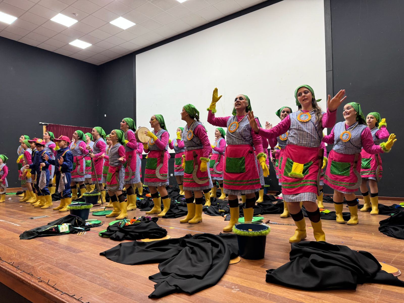 Desfile de Entroido en Portas 2026 (13)