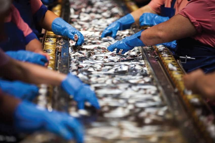 Fábrica de conservas de pescado