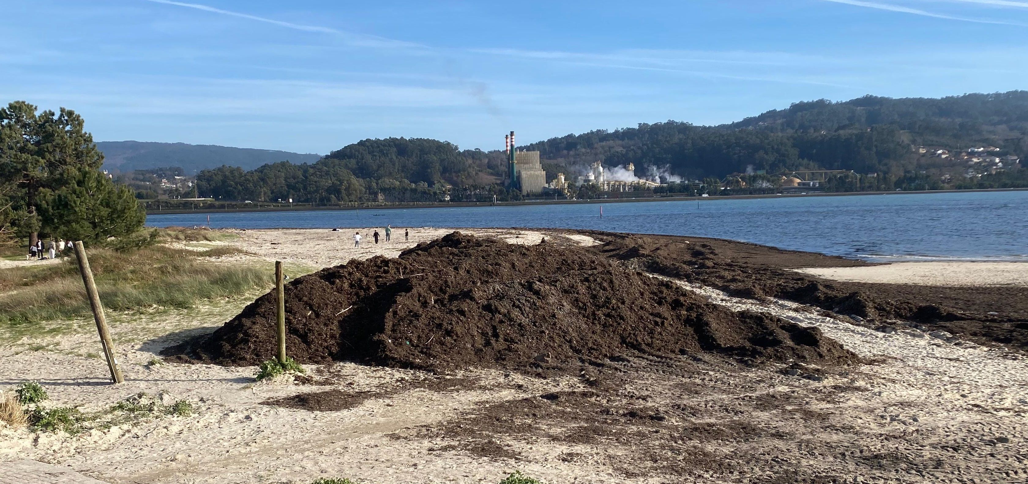 Restos acumulados no litoral