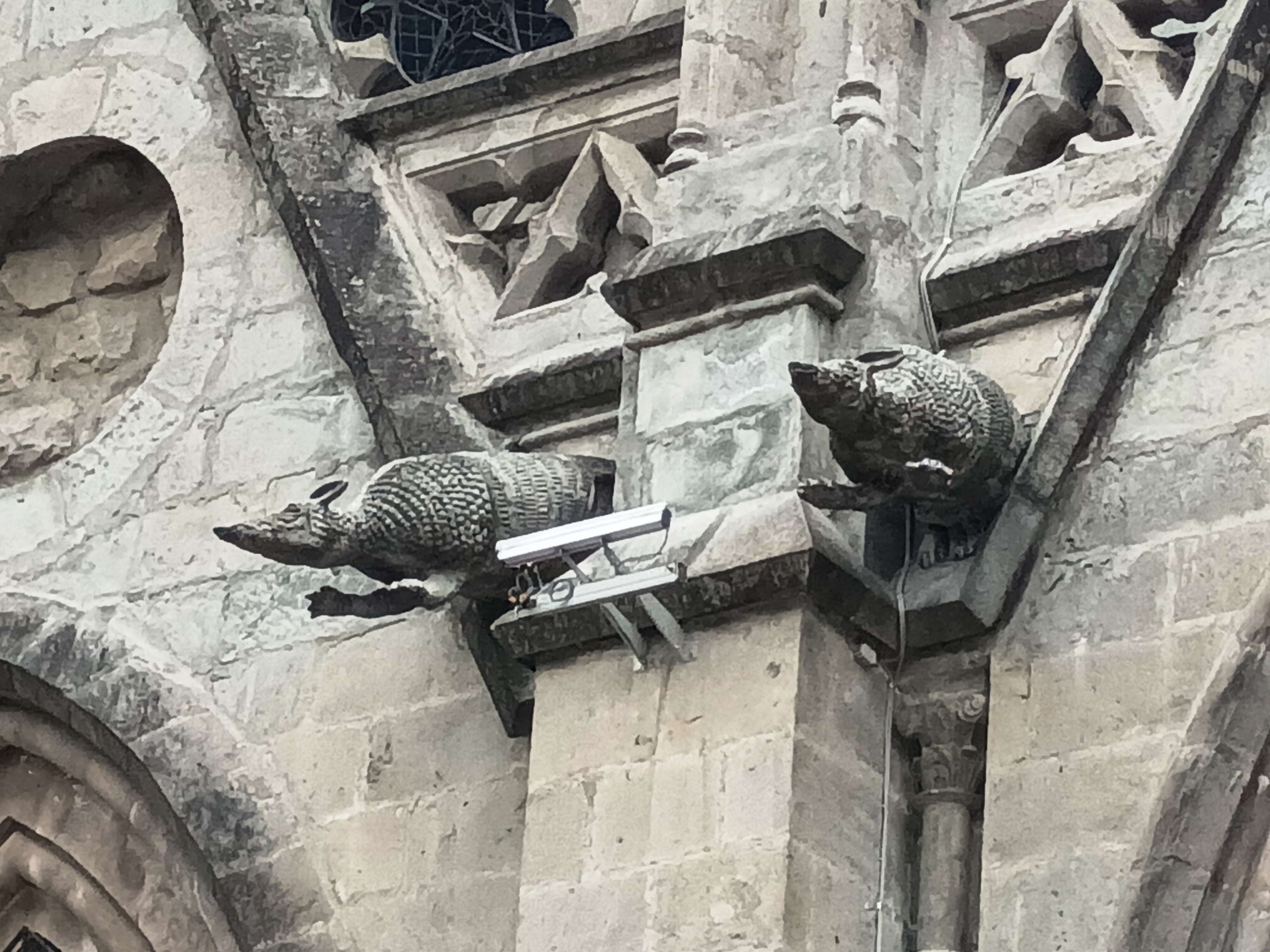Basílica del Voto Nacional, gárgolas Basílica del Voto Nacional, gárgolas