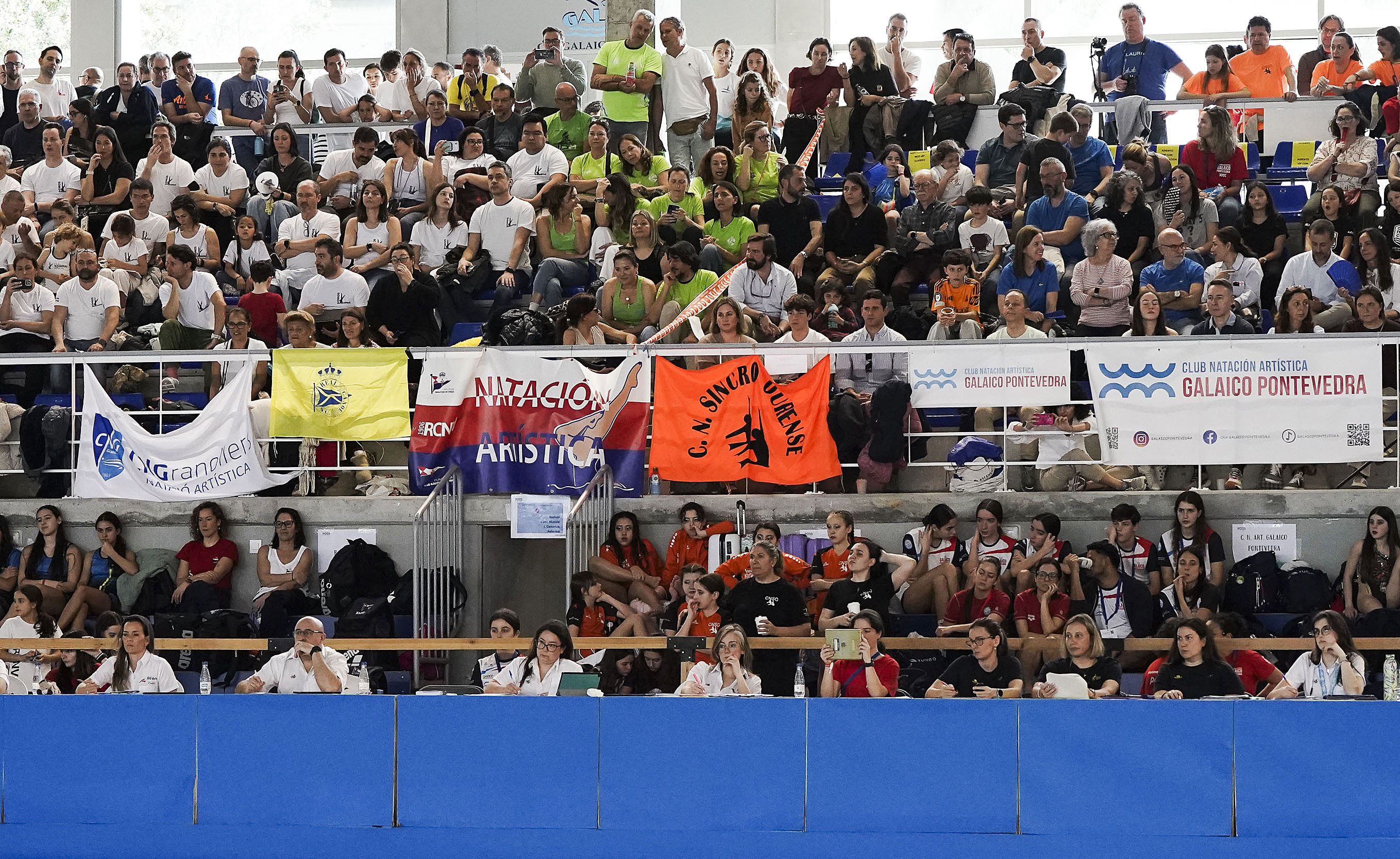 Campeonato de España de Natación Artística de Invierno