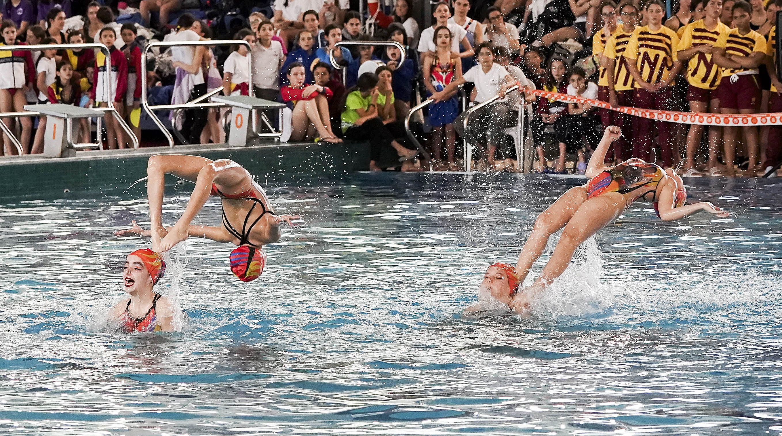 Campeonato de España de Natación Artística de Invierno