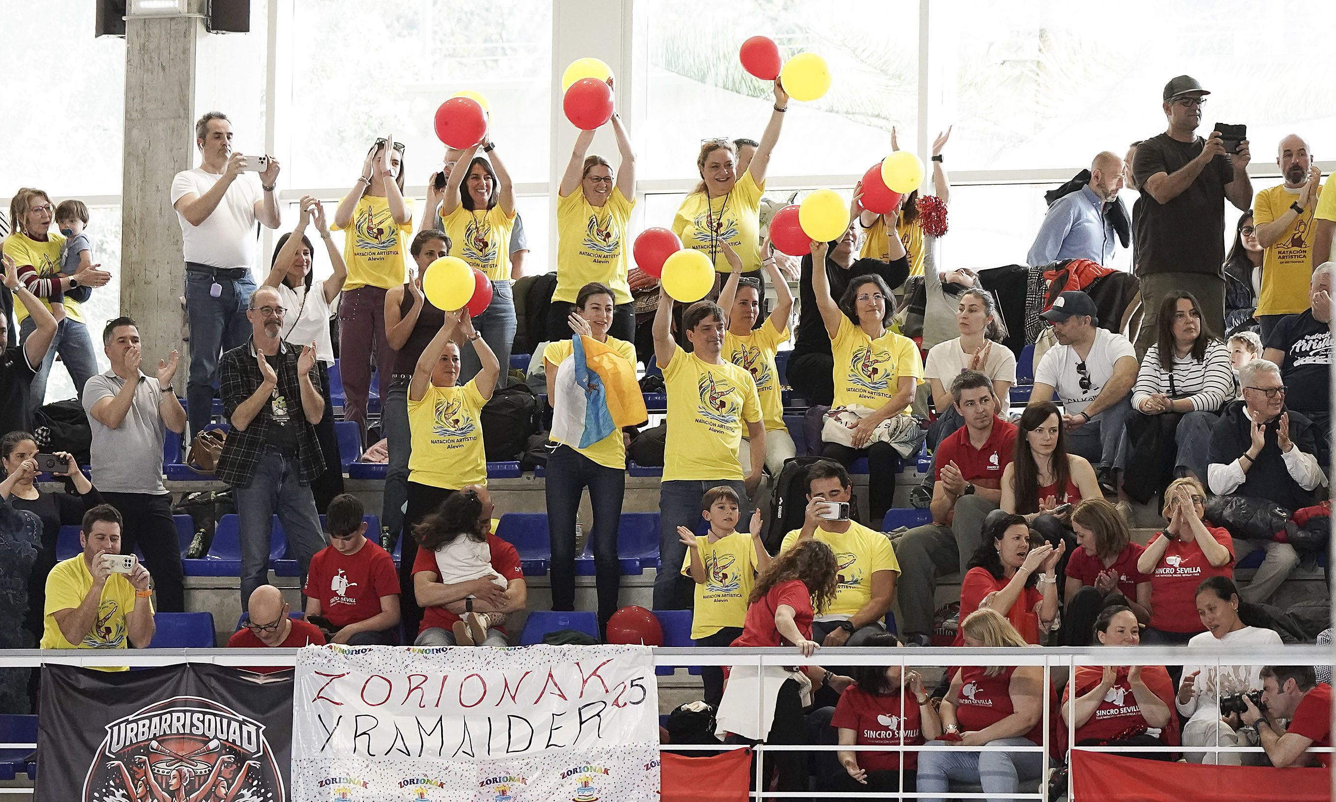 Campeonato de España de Natación Artística de Invierno