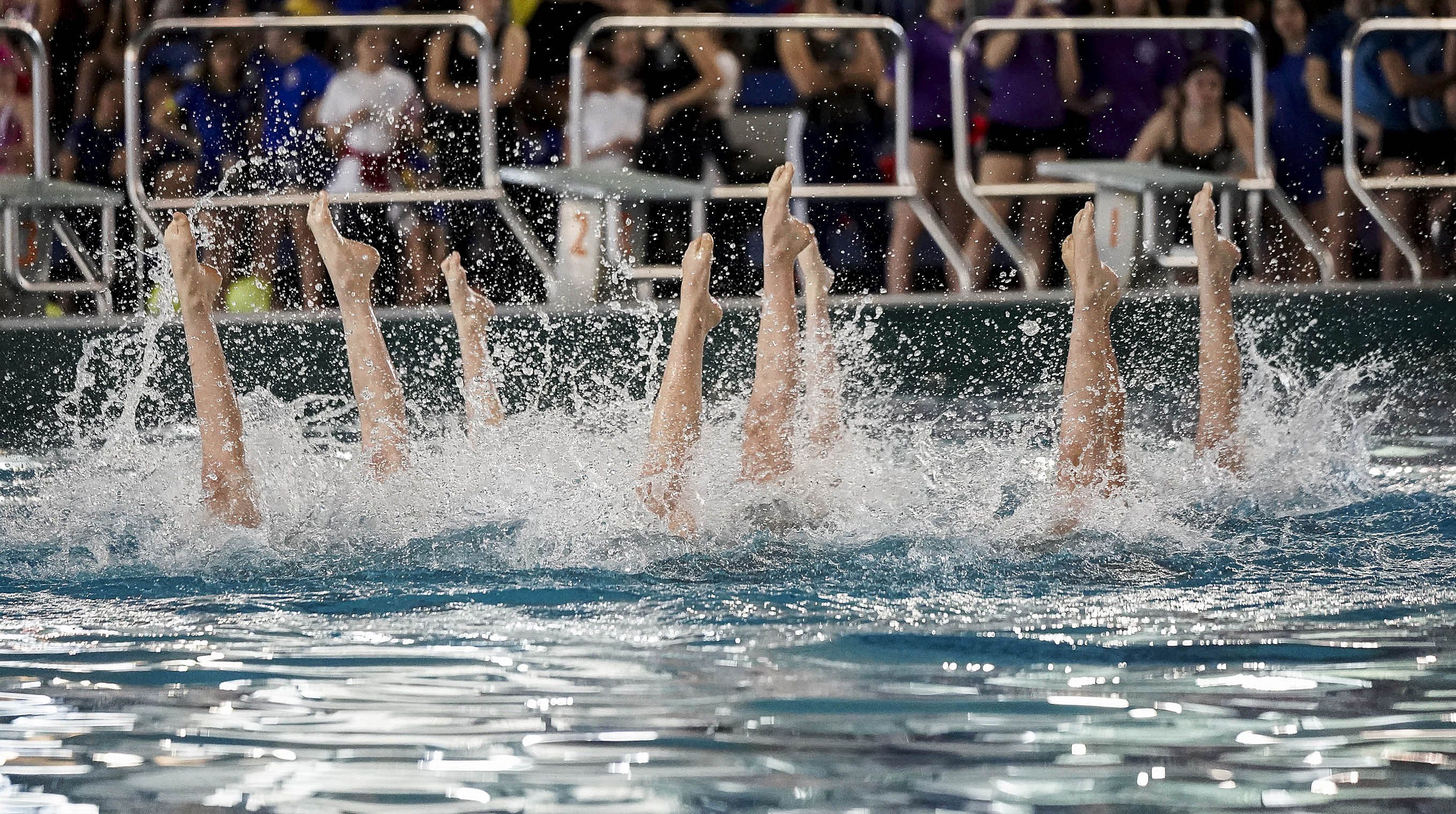 Campeonato de España de Natación Artística de Invierno