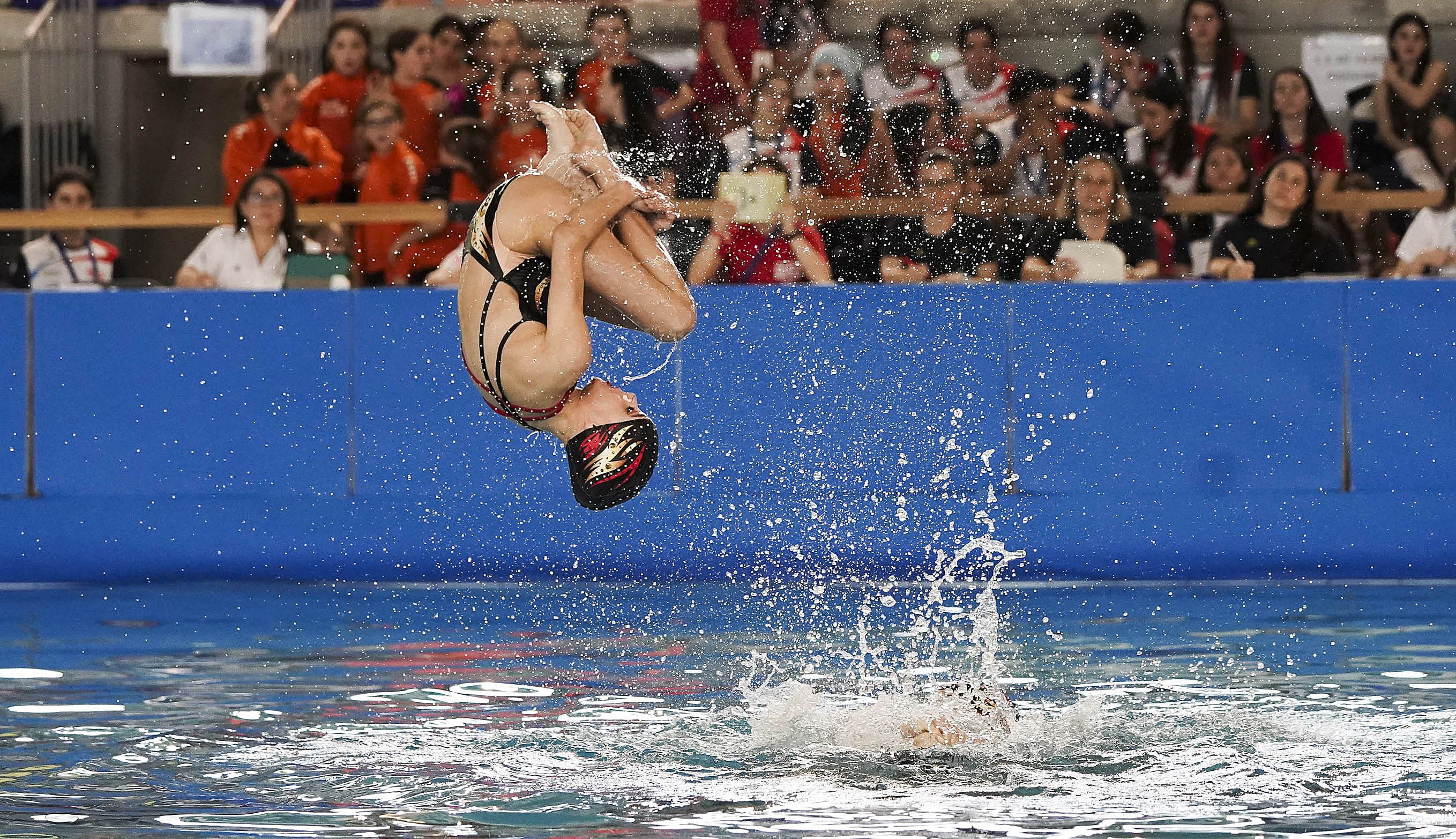 Campeonato de España de Natación Artística de Invierno