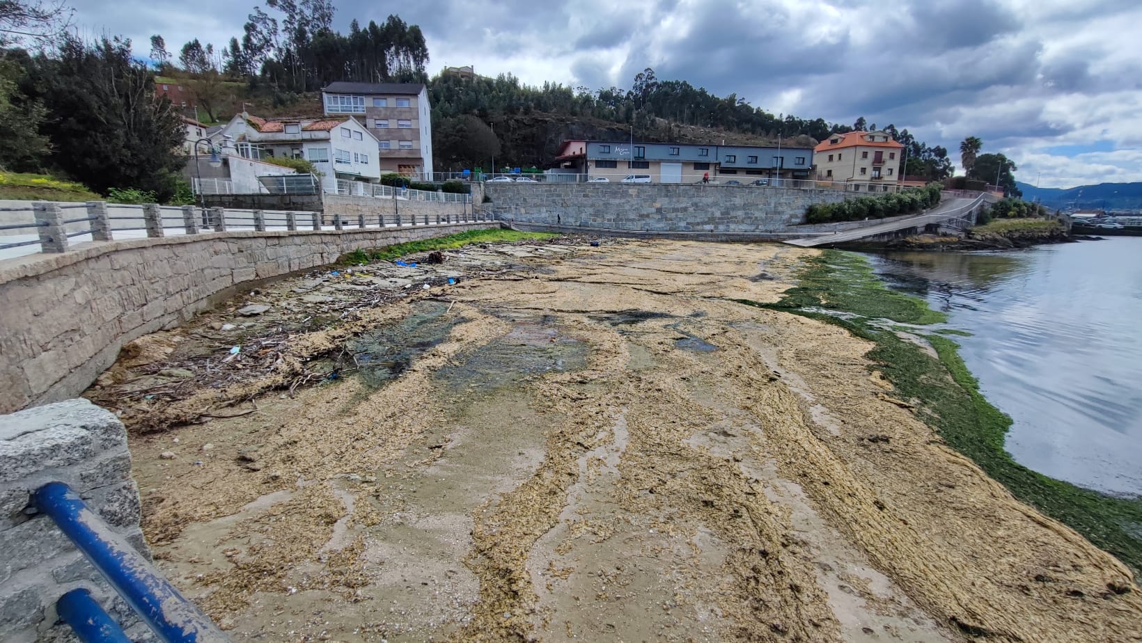 Arenal de Poio invadido con plásticos y algas