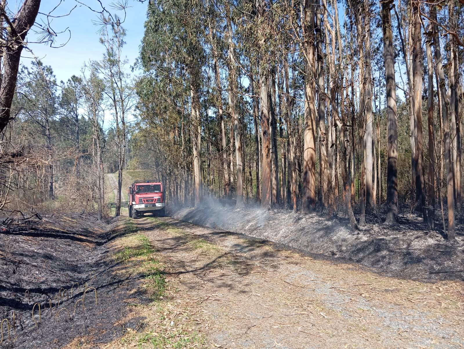 Incendio forestal en Arcos de Furcos (Cuntis)