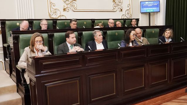 Pleno da Deputación de Pontevedra Pleno da Deputación de Pontevedra