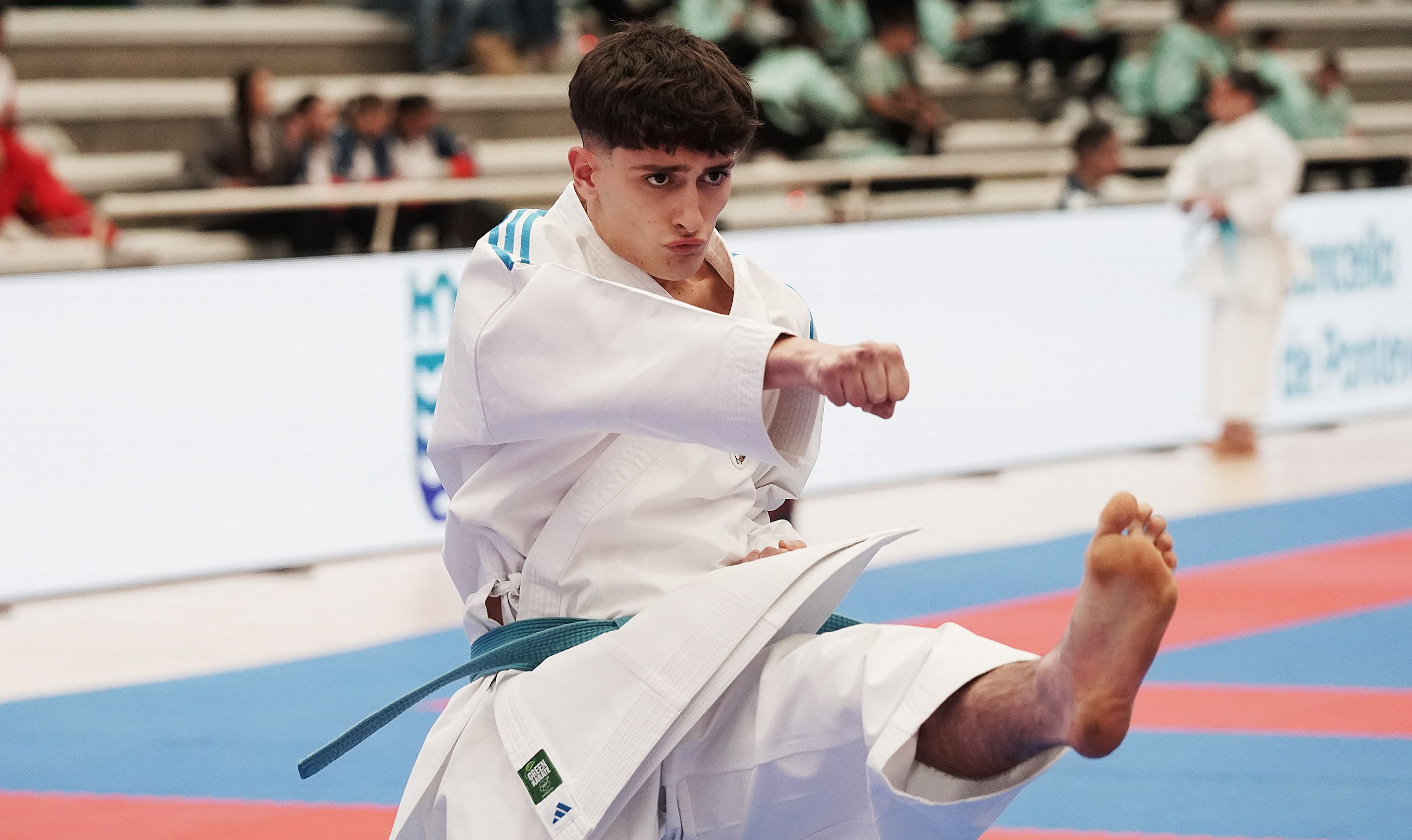 Campionato de España Absoluto de Karate e Para-Karate