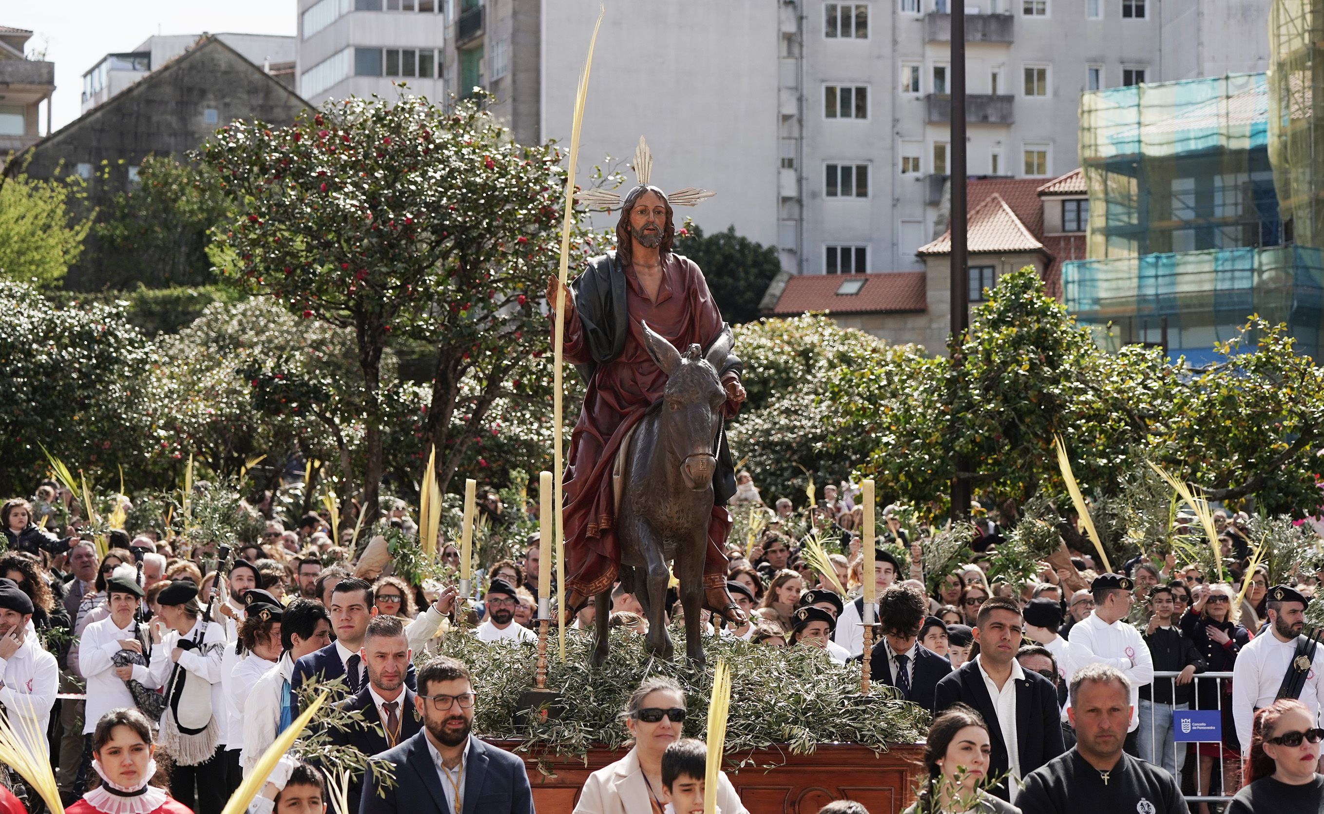 Domingo de Ramos Domingo de Ramos