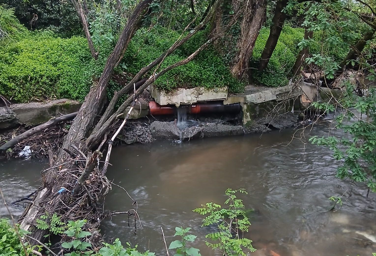 Vertido al río Gafos