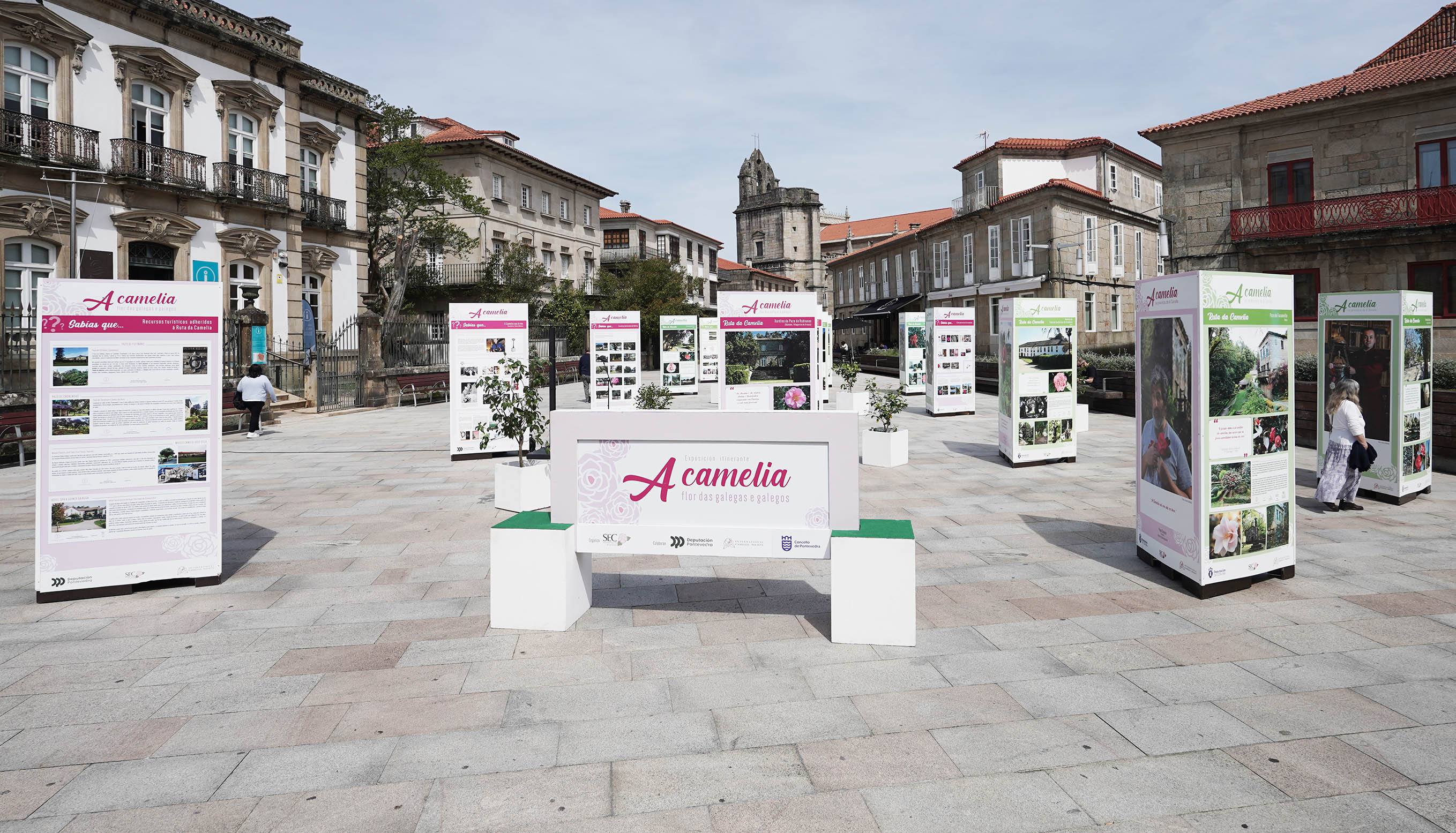 Exposición "A camelia flor de galegas e galegos" Exposición "A camelia flor de galegas e galegos"
