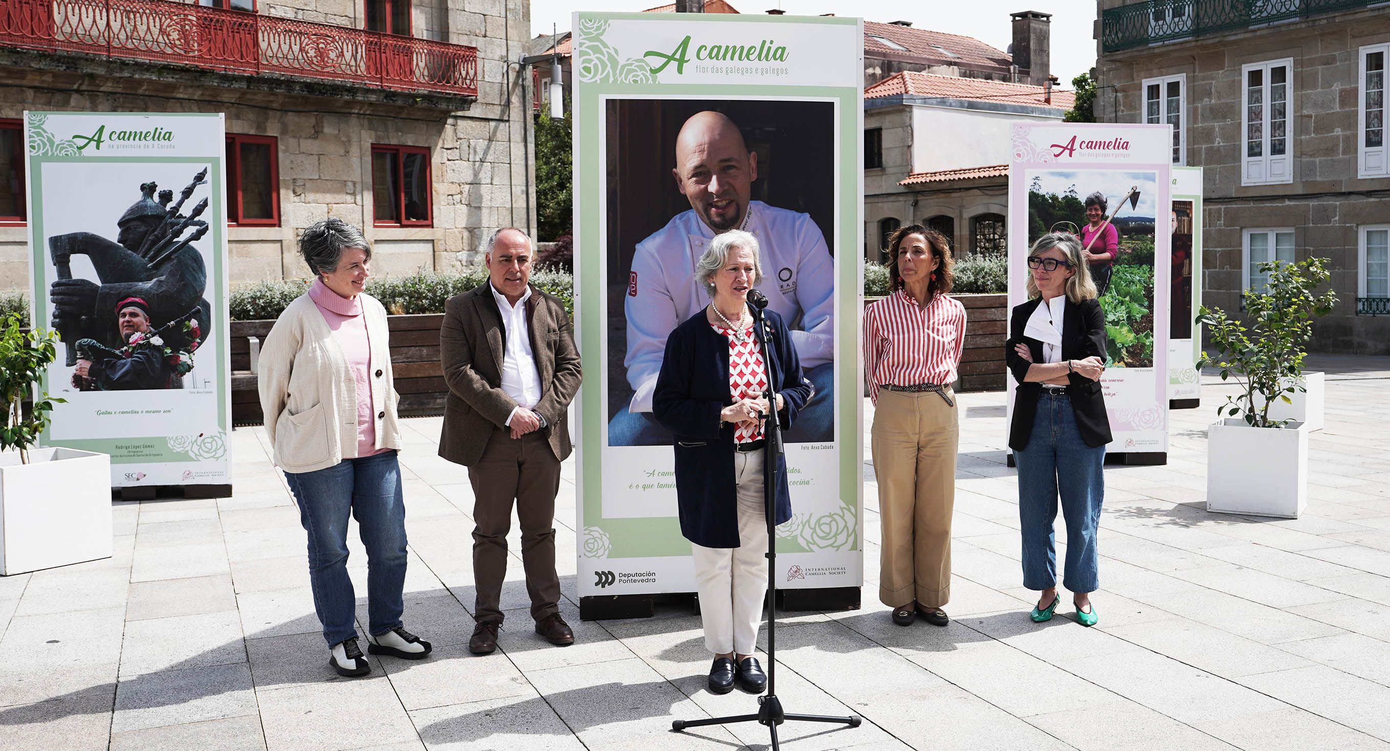 Exposición "A camelia flor de galegas e galegos" Exposición "A camelia flor de galegas e galegos"