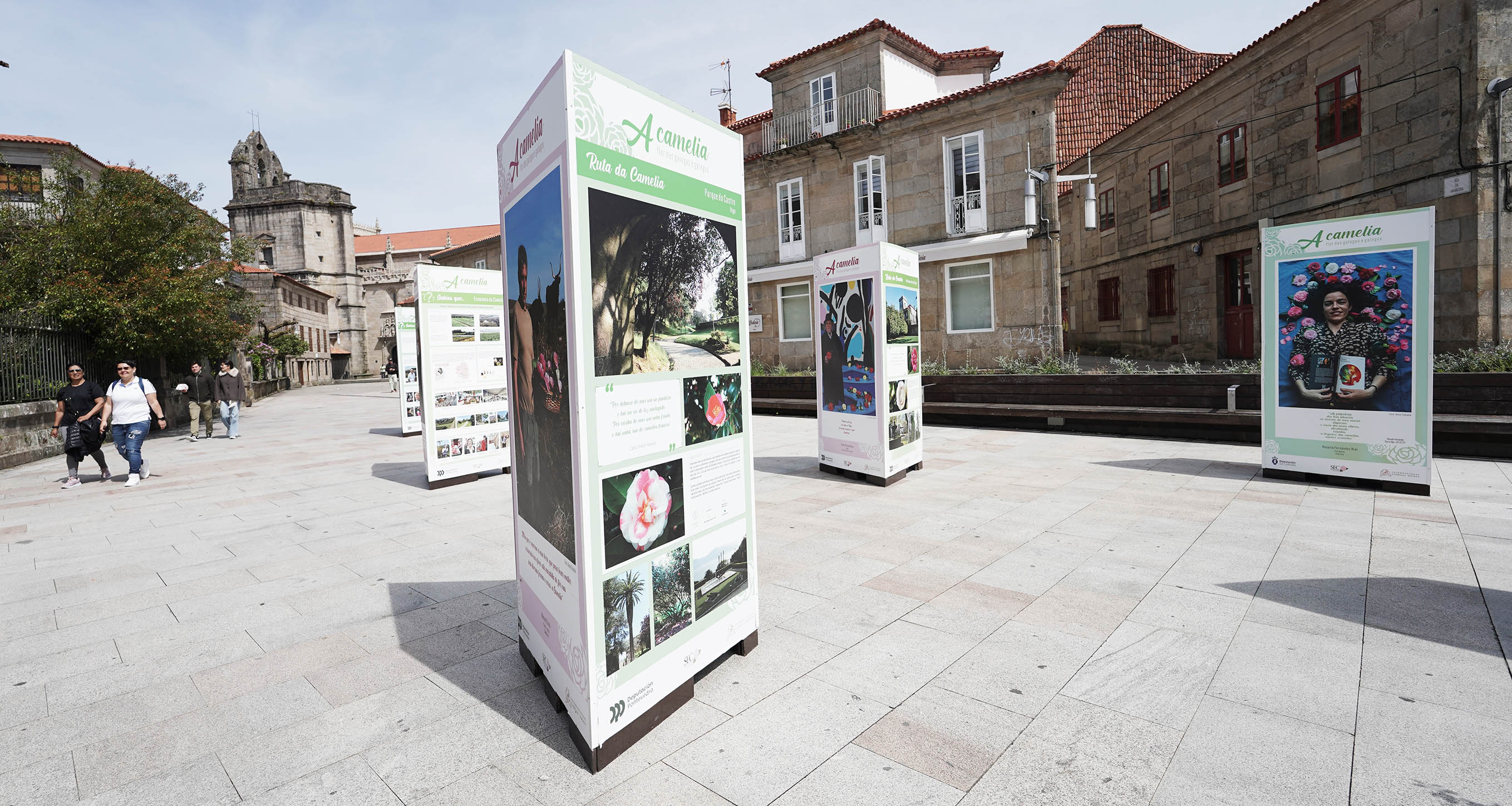 Exposición "A camelia flor de galegas e galegos" Exposición "A camelia flor de galegas e galegos"
