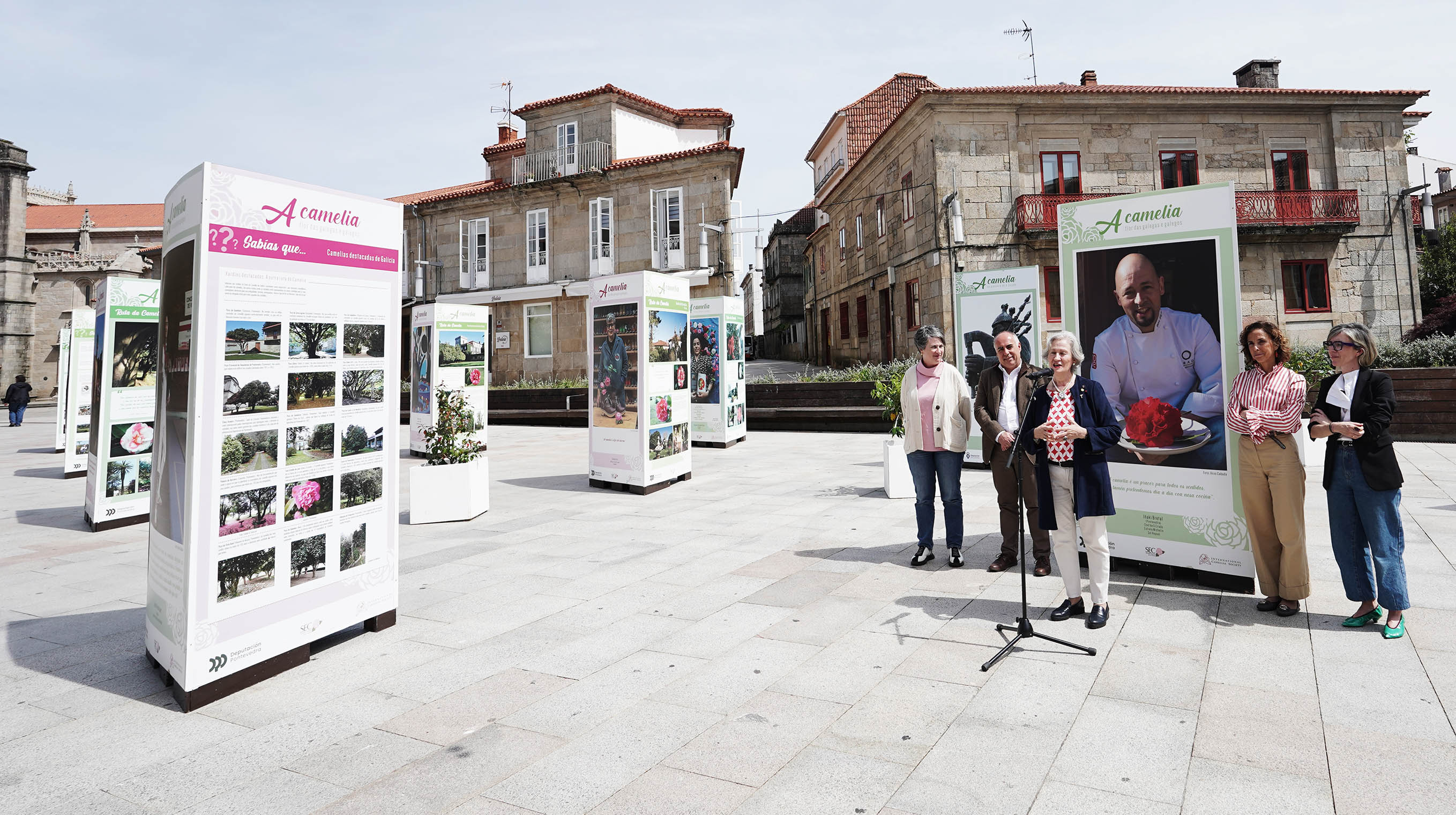Exposición "A camelia flor de galegas e galegos" Exposición "A camelia flor de galegas e galegos"