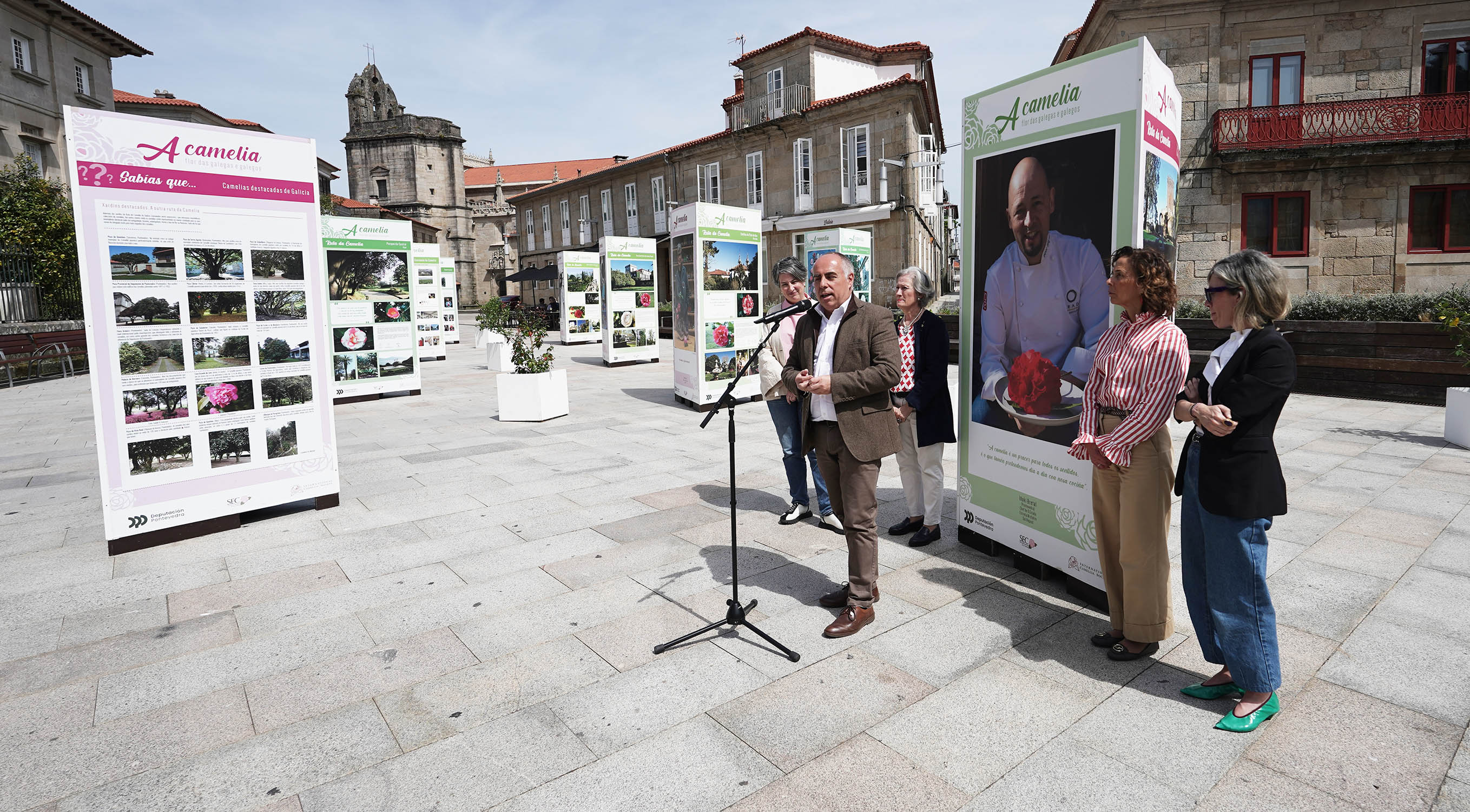 Exposición "A camelia flor de galegas e galegos" Exposición "A camelia flor de galegas e galegos"